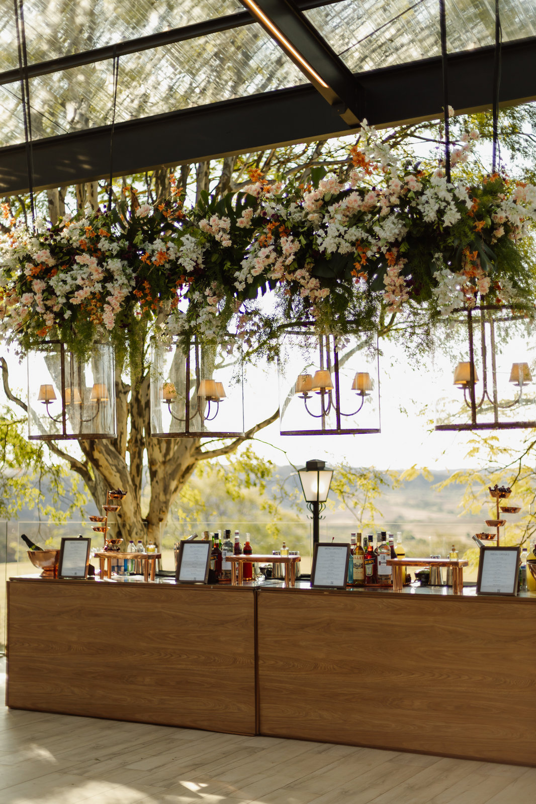 Outdoor event space beneath a large tree